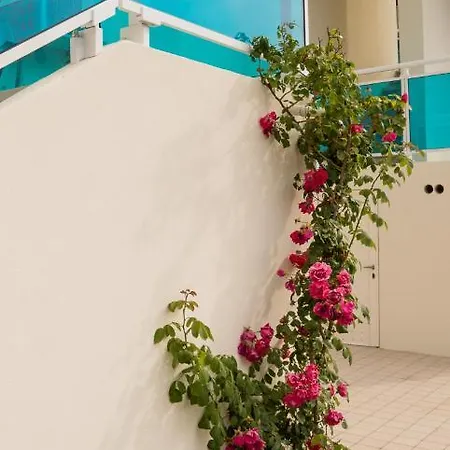 Apartman Zzznon Attivo Ex Dl5 E Dl6